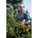 Nawigacja zdjęcie 4 - 18V XR Sekator 1 x 5Ah DeWalt DCMPP568P1