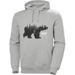 Bluza Helly Hansen 79264_930 Graphics/Logo kolor szary